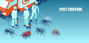 Pest Control Service Springfield Missouri, Expert Pest New Year 2025