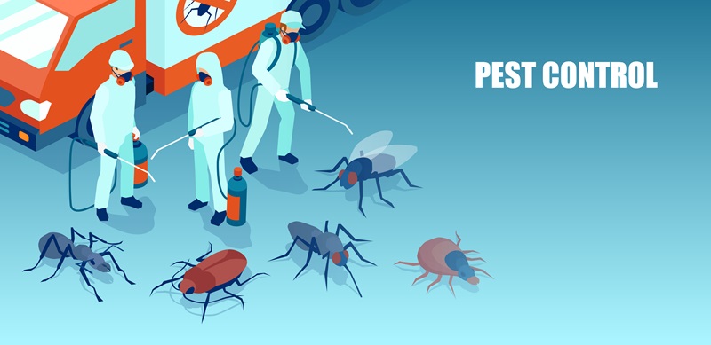 Pest Control Service Springfield Missouri, Expert Pest New Year 2025